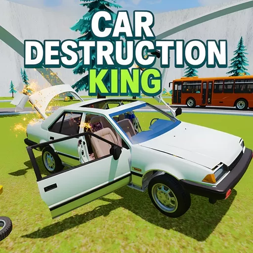 Car Destruction King